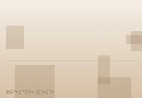 სურათი 1