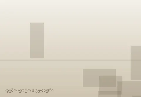 სურათი 1