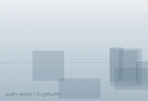 სურათი 1