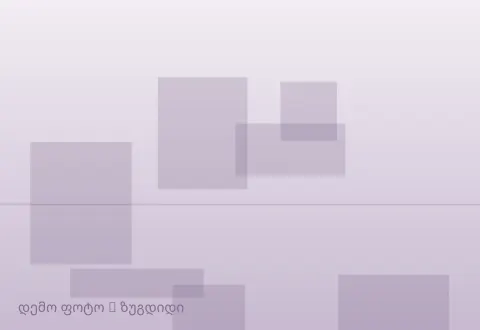 სურათი 1