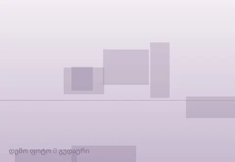 სურათი 1