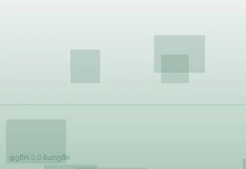 სურათი 3