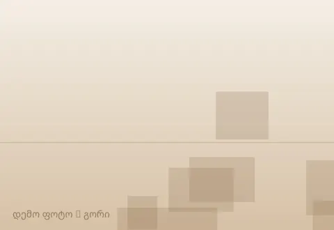სურათი 1