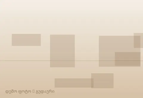 სურათი 1