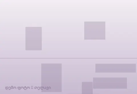 სურათი 1