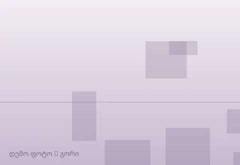 სურათი 1