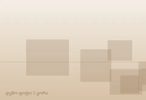 სურათი 1