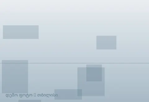 სურათი 1