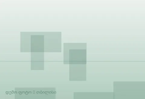 სურათი 1
