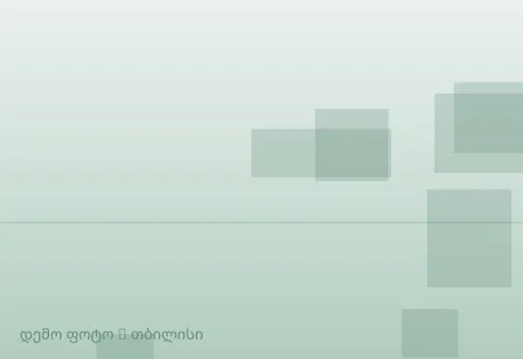 სურათი 1