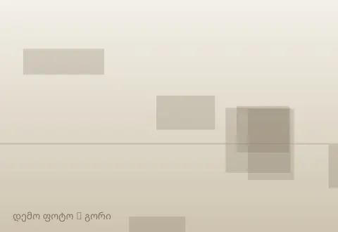 სურათი 1