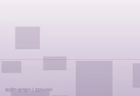 სურათი 1