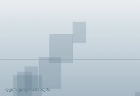 სურათი 1