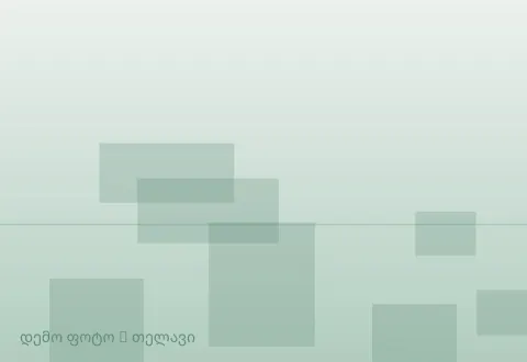 სურათი 1