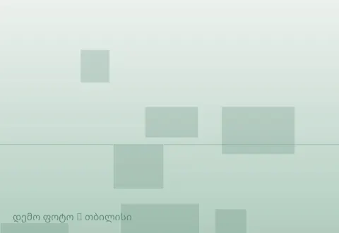 სურათი 1