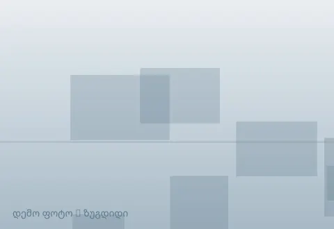 სურათი 1
