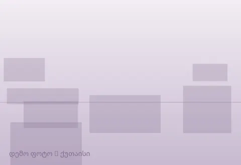სურათი 1