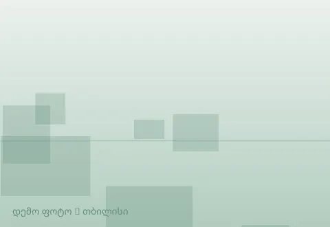 სურათი 1