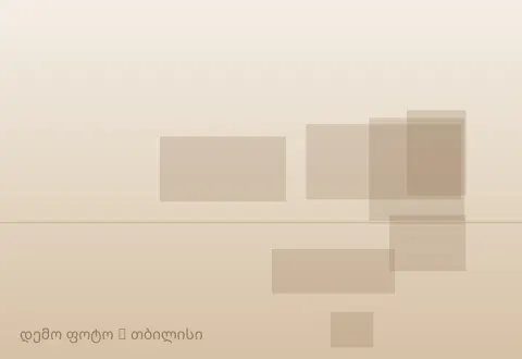 სურათი 1