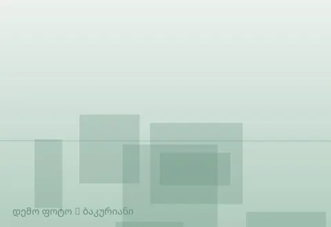 სურათი 1