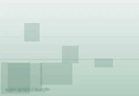 სურათი 1