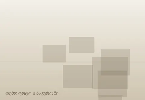 სურათი 1