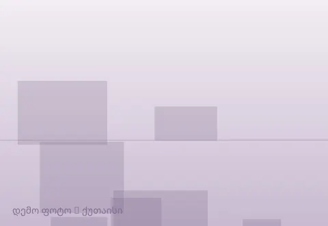 სურათი 1