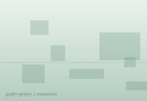 სურათი 1