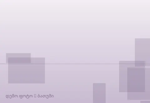 სურათი 1