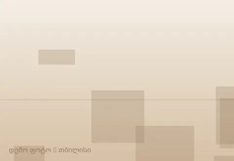 სურათი 1
