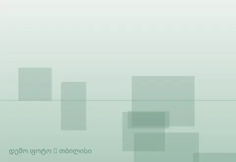 სურათი 1