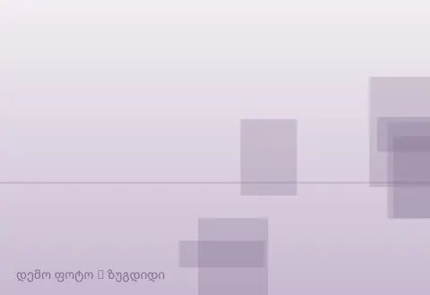 სურათი 1
